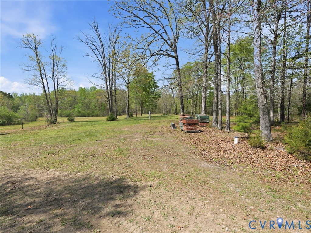 2210 Harts Mill Road Mineral, VA 23117 - Photo 54 of 70 View of lot 2