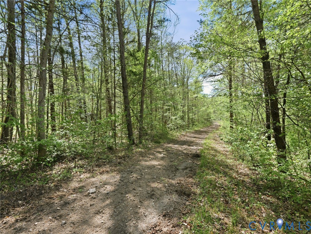 2210 Harts Mill Road Mineral, VA 23117 - Photo 59 of 70 The road leading back to Lot 2, the 8.851 acres.