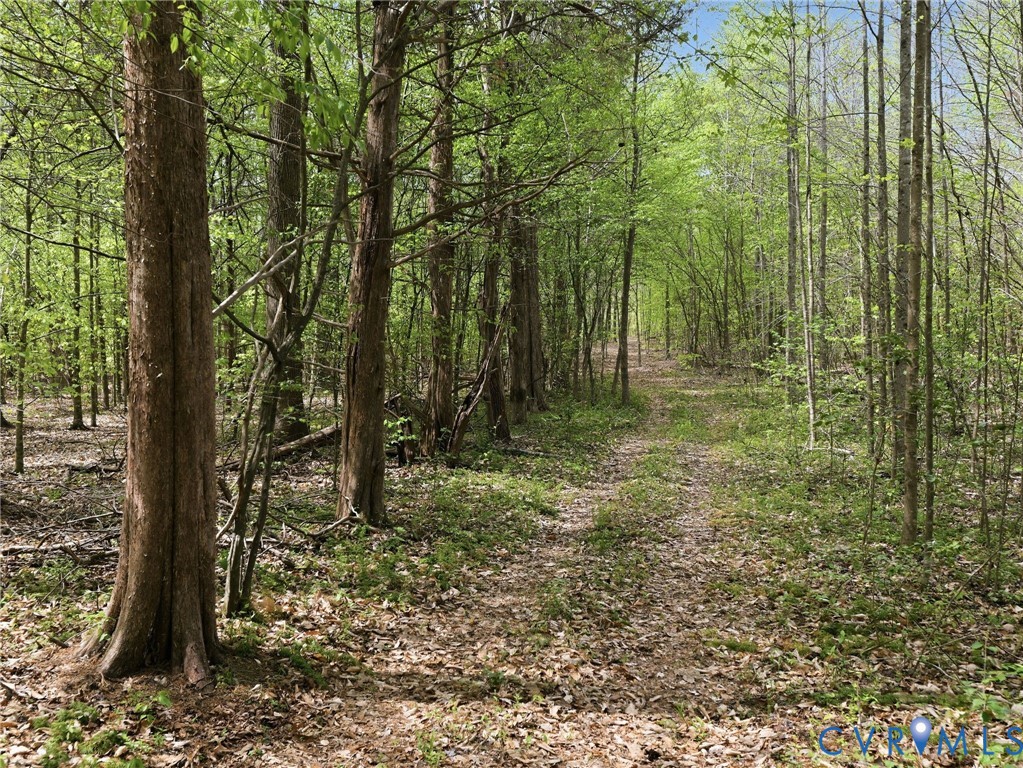2210 Harts Mill Road Mineral, VA 23117 - Photo 60 of 70 One of the trails leading through the property. T