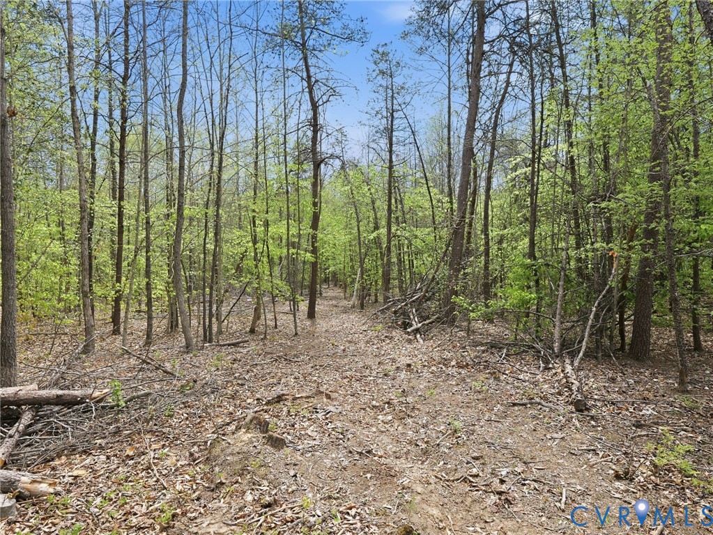 2210 Harts Mill Road Mineral, VA 23117 - Photo 64 of 70