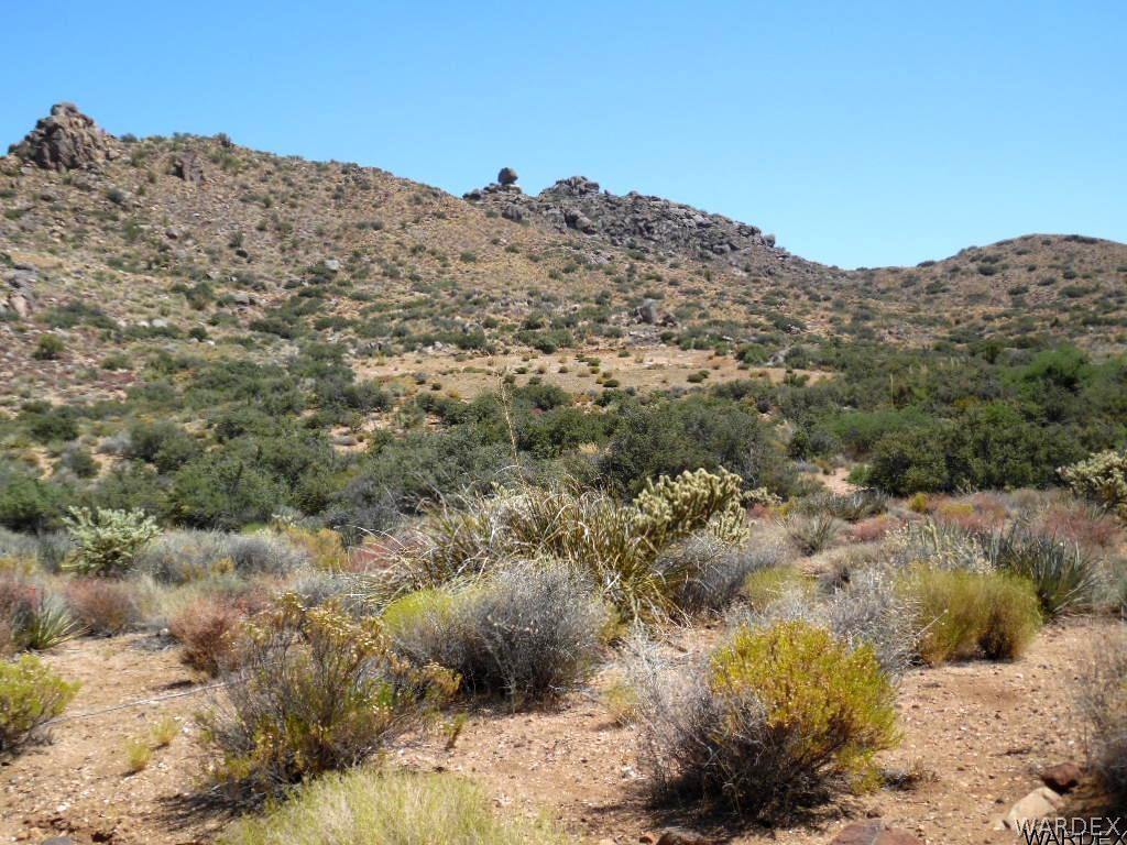 0 North Coyote Run Road Kingman, AZ 86409 - Photo 6 of 22 6