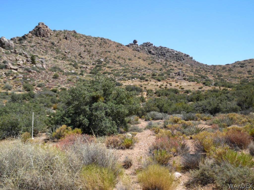 0 North Coyote Run Road Kingman, AZ 86409 - Photo 7 of 22 7