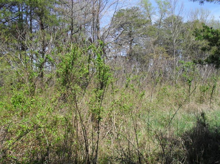 1 East Pittsburg Church Road London, KY 40741 - Photo 8 of 8 Photo 8