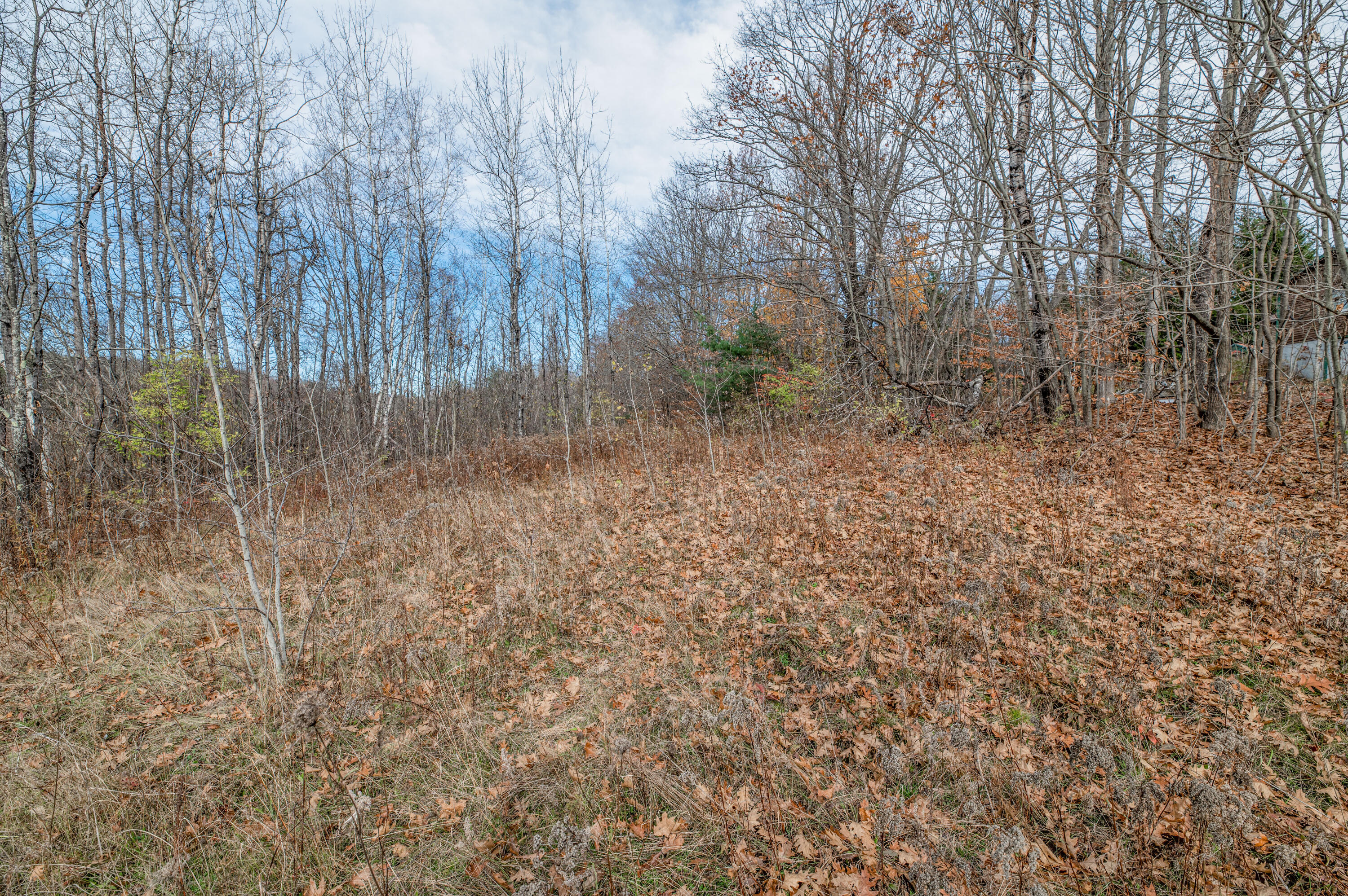 Lot 53 Vaughan Road Hallowell, ME 04347 - Photo 3 of 5 Land1