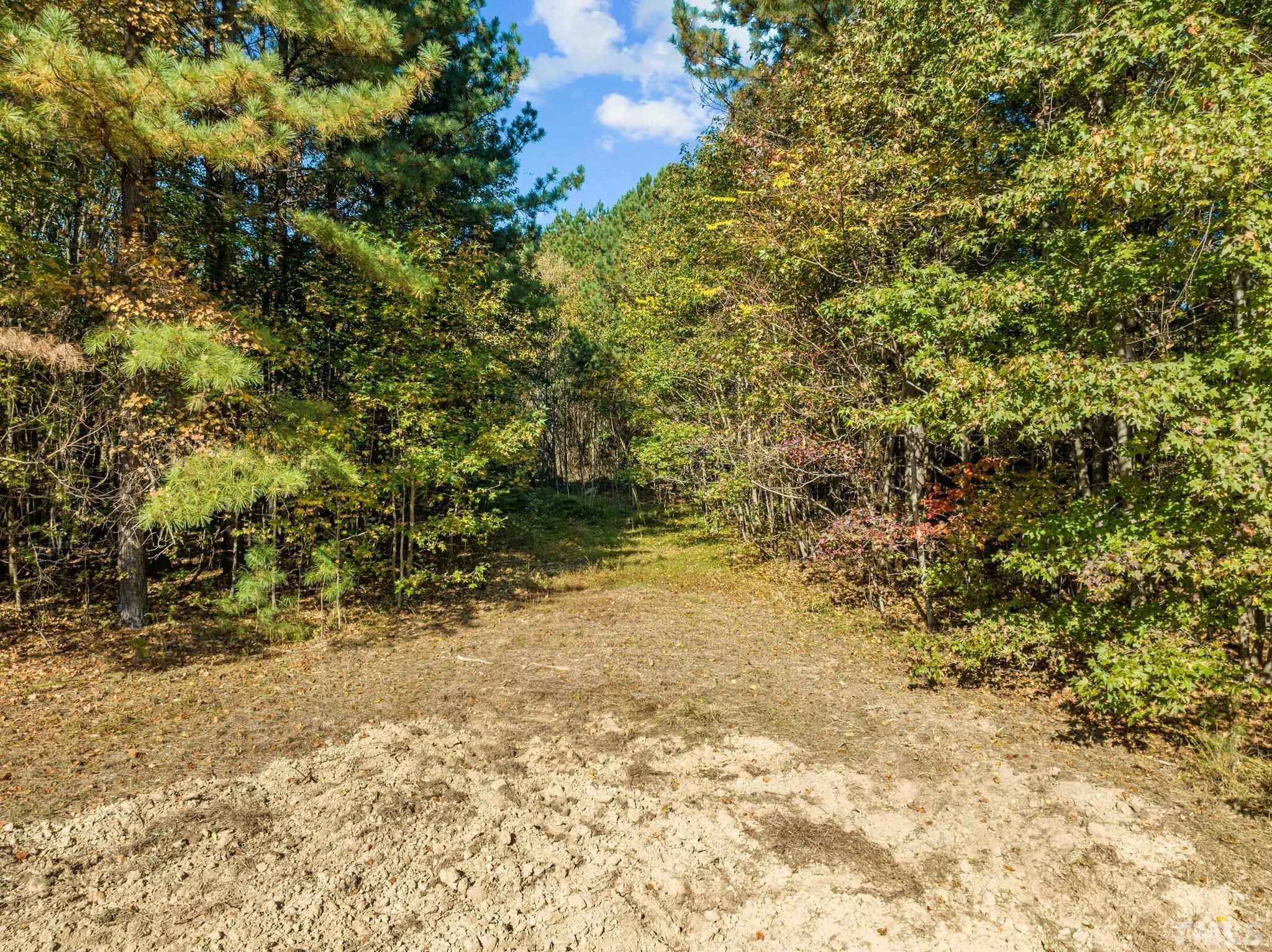 0 Todd Road Roxboro, NC 27574 - Photo 11 of 34 a view of a yard with a tree