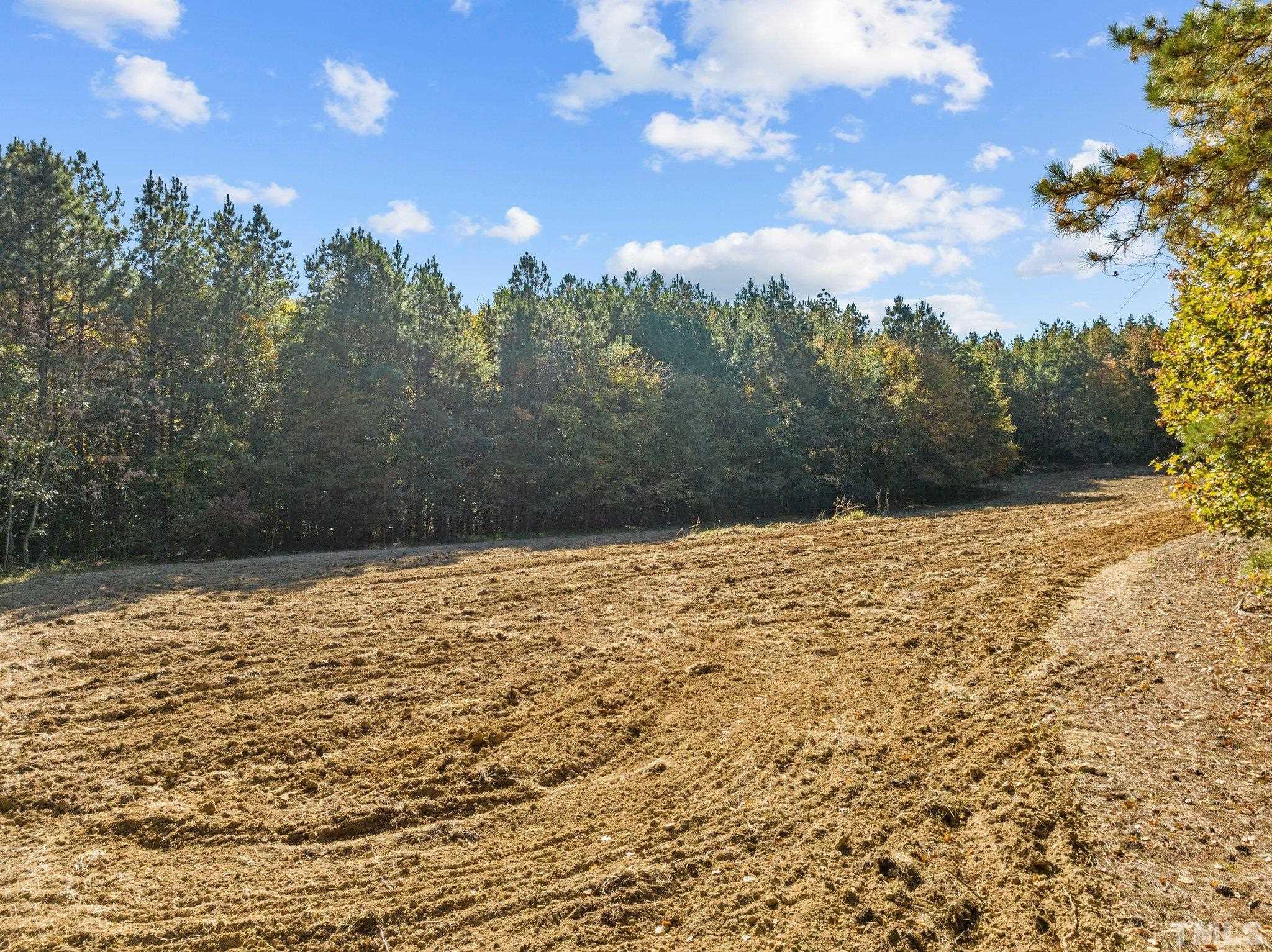 0 Todd Road Roxboro, NC 27574 - Photo 12 of 34