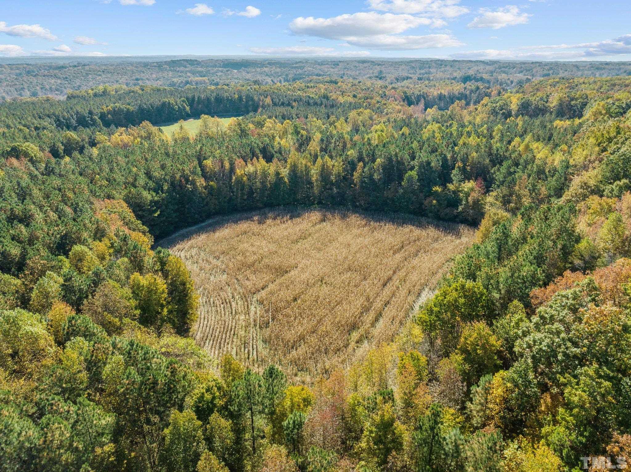 0 Todd Road Roxboro, NC 27574 - Photo 17 of 34 a view of lake view and mountain view