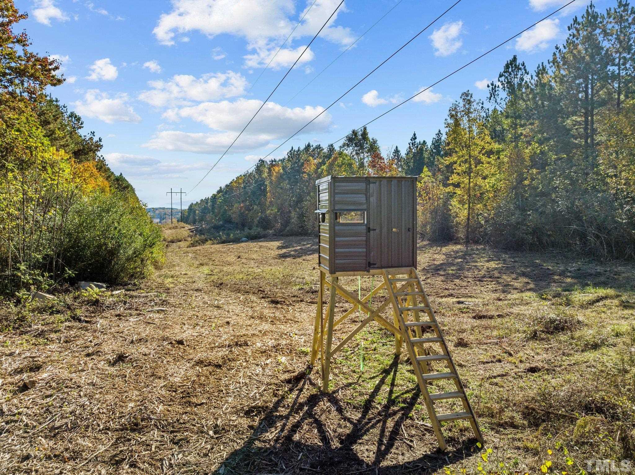0 Todd Road Roxboro, NC 27574 - Photo 3 of 34 a view of a backyard