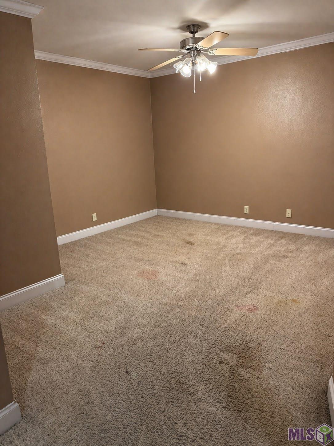 2045 North 3rd Street, Unit 221 Baton Rouge, LA 70802 - Photo 5 of 22