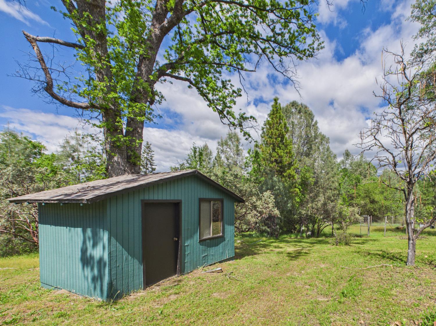37777 China Creek Road Oakhurst, CA 93644 - Photo 40 of 64 a view of backyard of house with green space