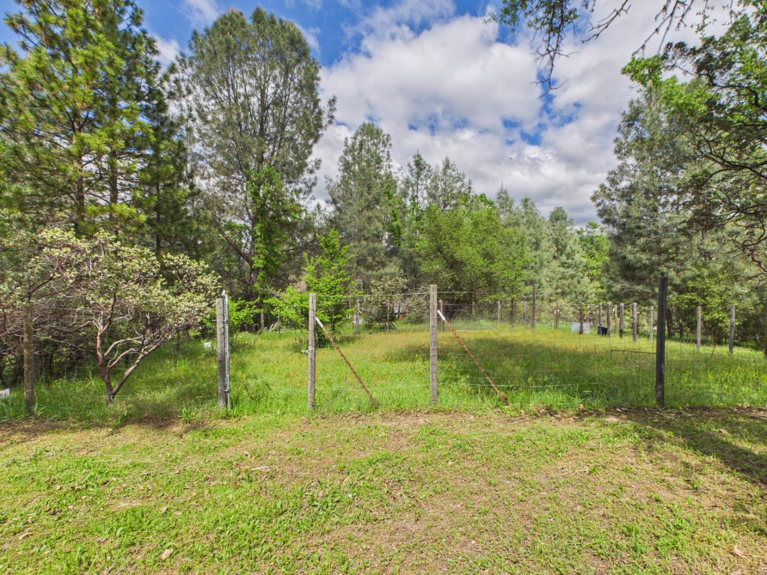 37777 China Creek Road Oakhurst, CA 93644 - Photo 42 of 64