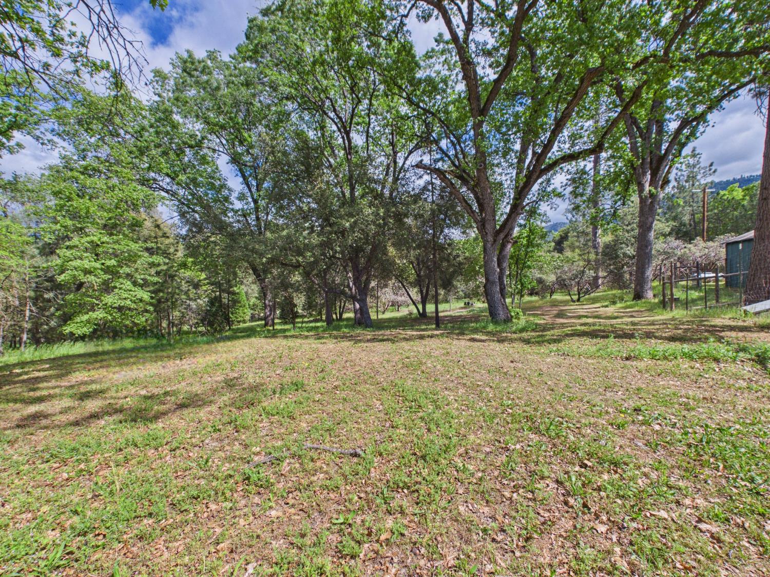 37777 China Creek Road Oakhurst, CA 93644 - Photo 45 of 64 a view of outdoor space with trees