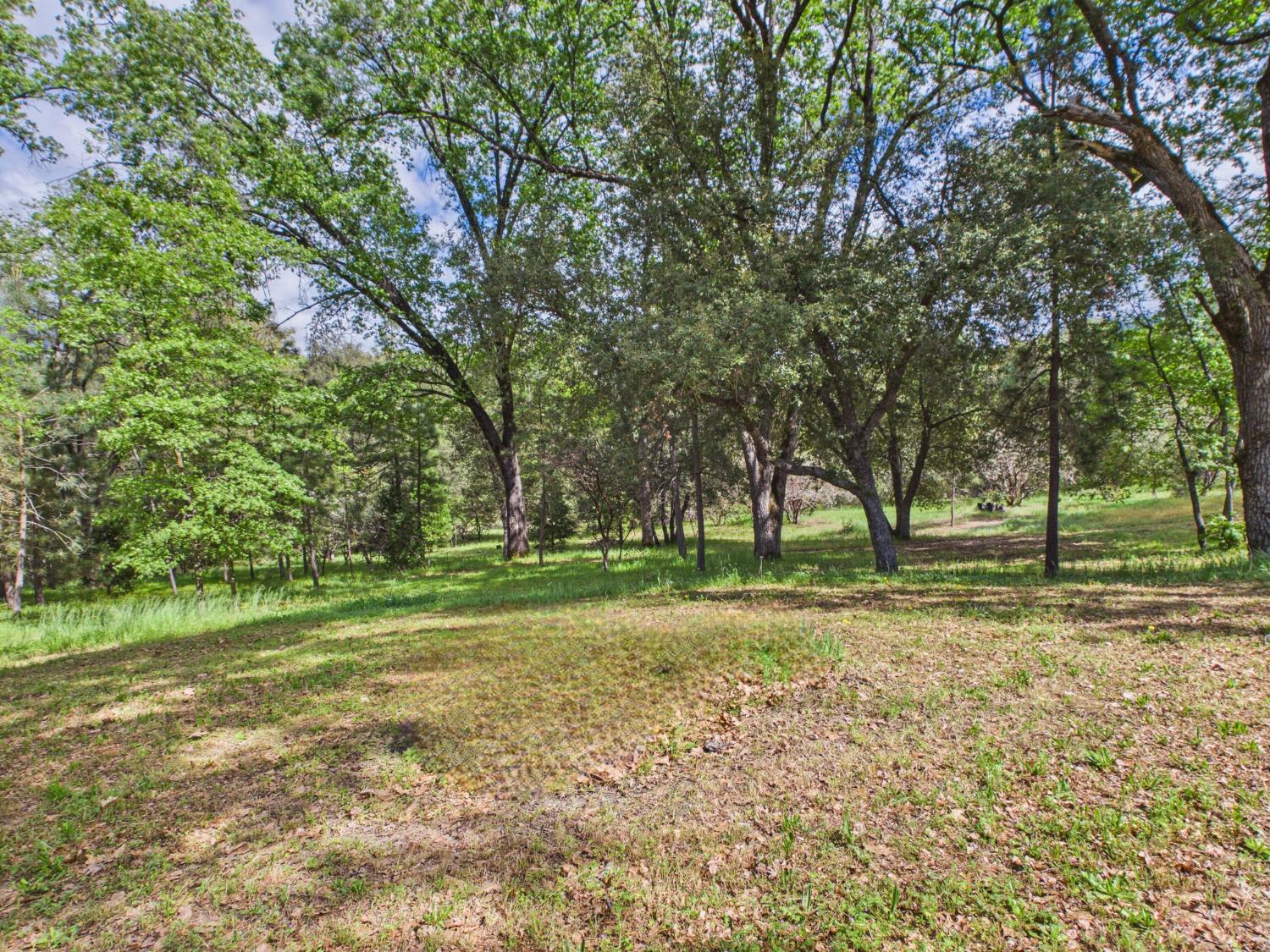 37777 China Creek Road Oakhurst, CA 93644 - Photo 47 of 64 a big yard with trees