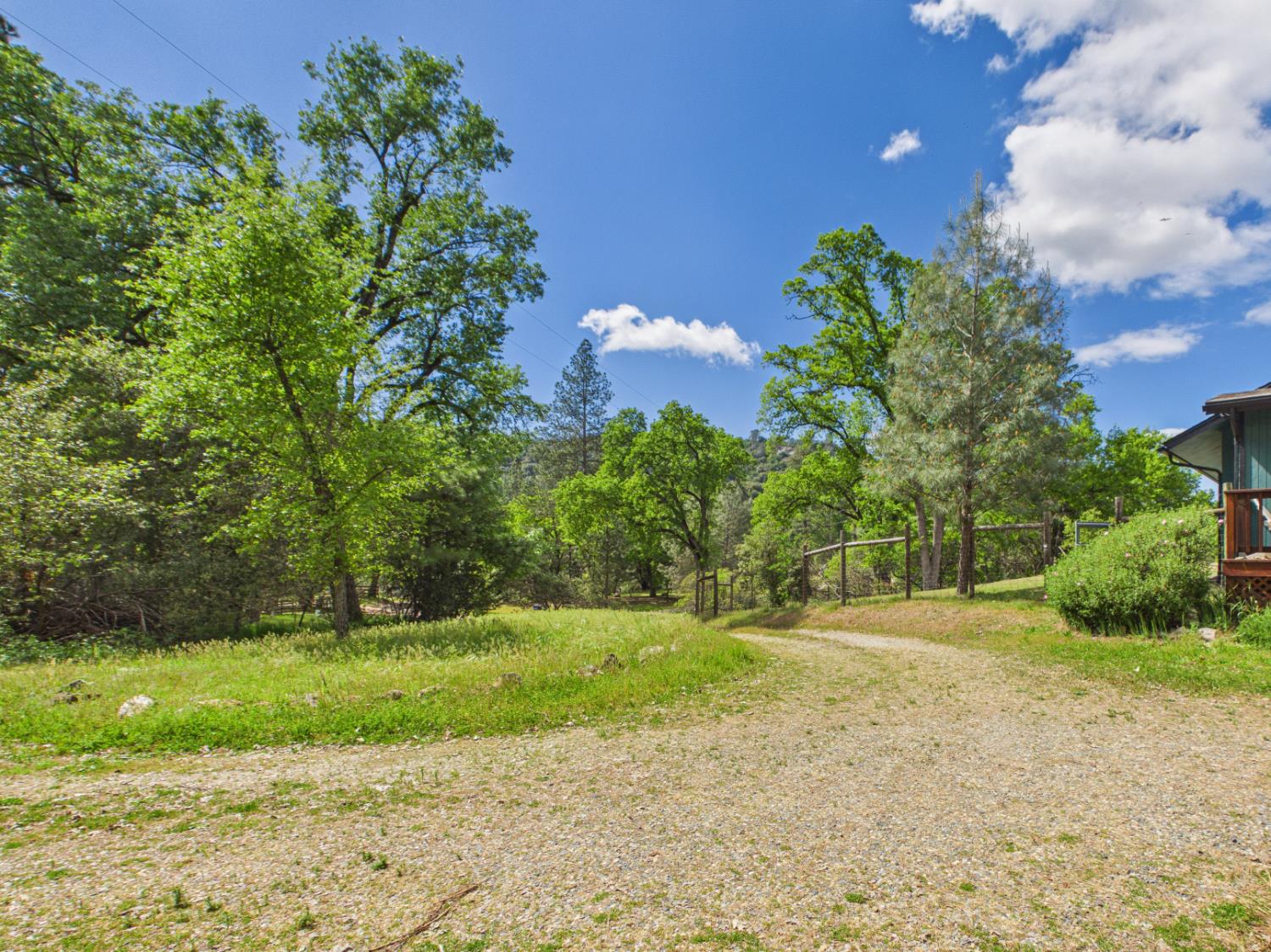 37777 China Creek Road Oakhurst, CA 93644 - Photo 48 of 64 a backyard of a house with lots of green space