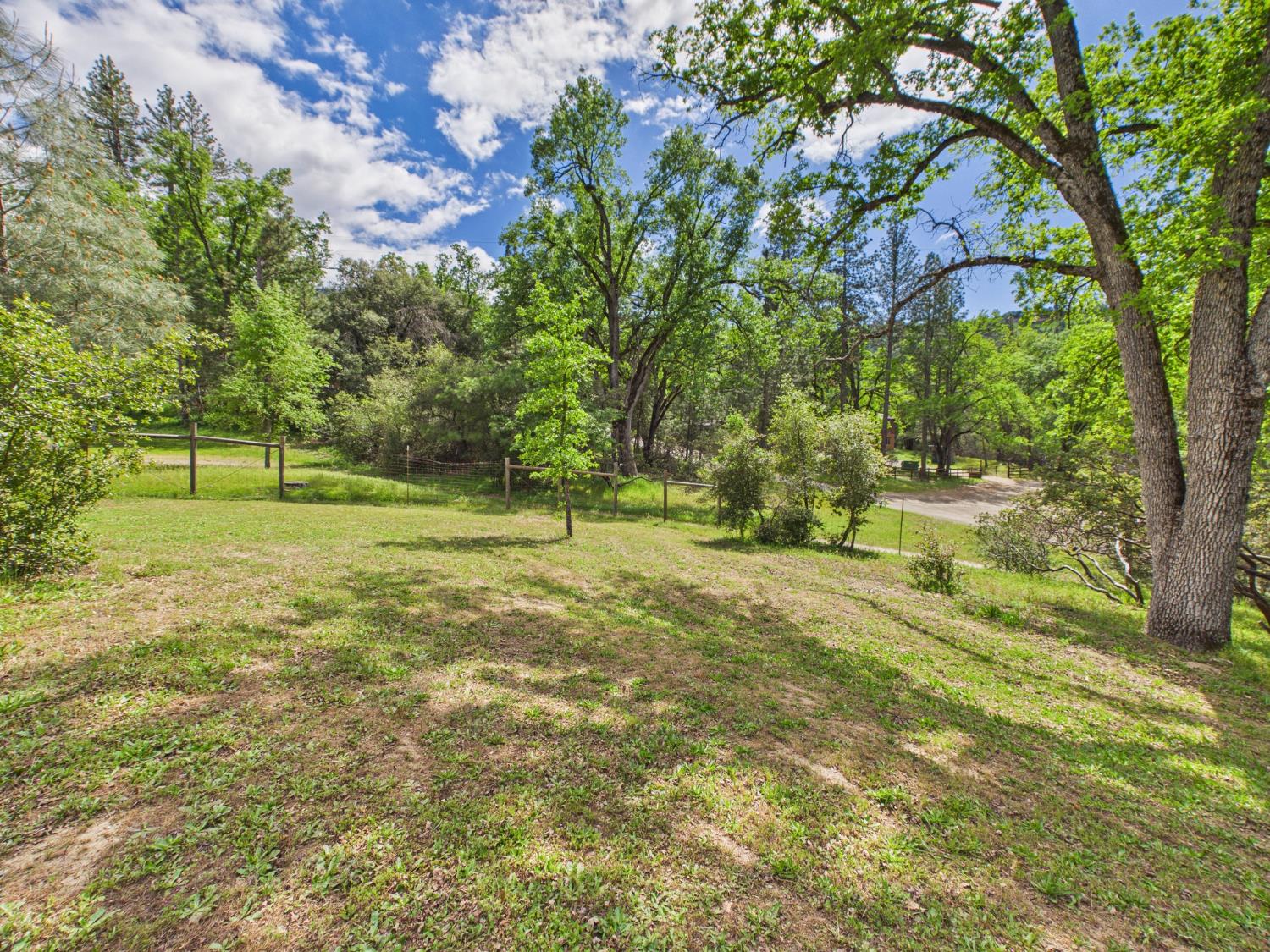 37777 China Creek Road Oakhurst, CA 93644 - Photo 51 of 64 a view of a field with a tree