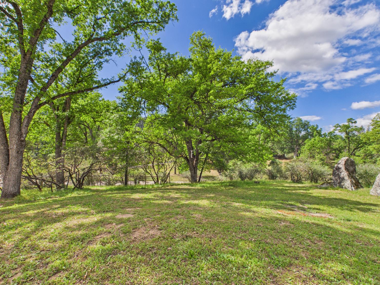 37777 China Creek Road Oakhurst, CA 93644 - Photo 53 of 64