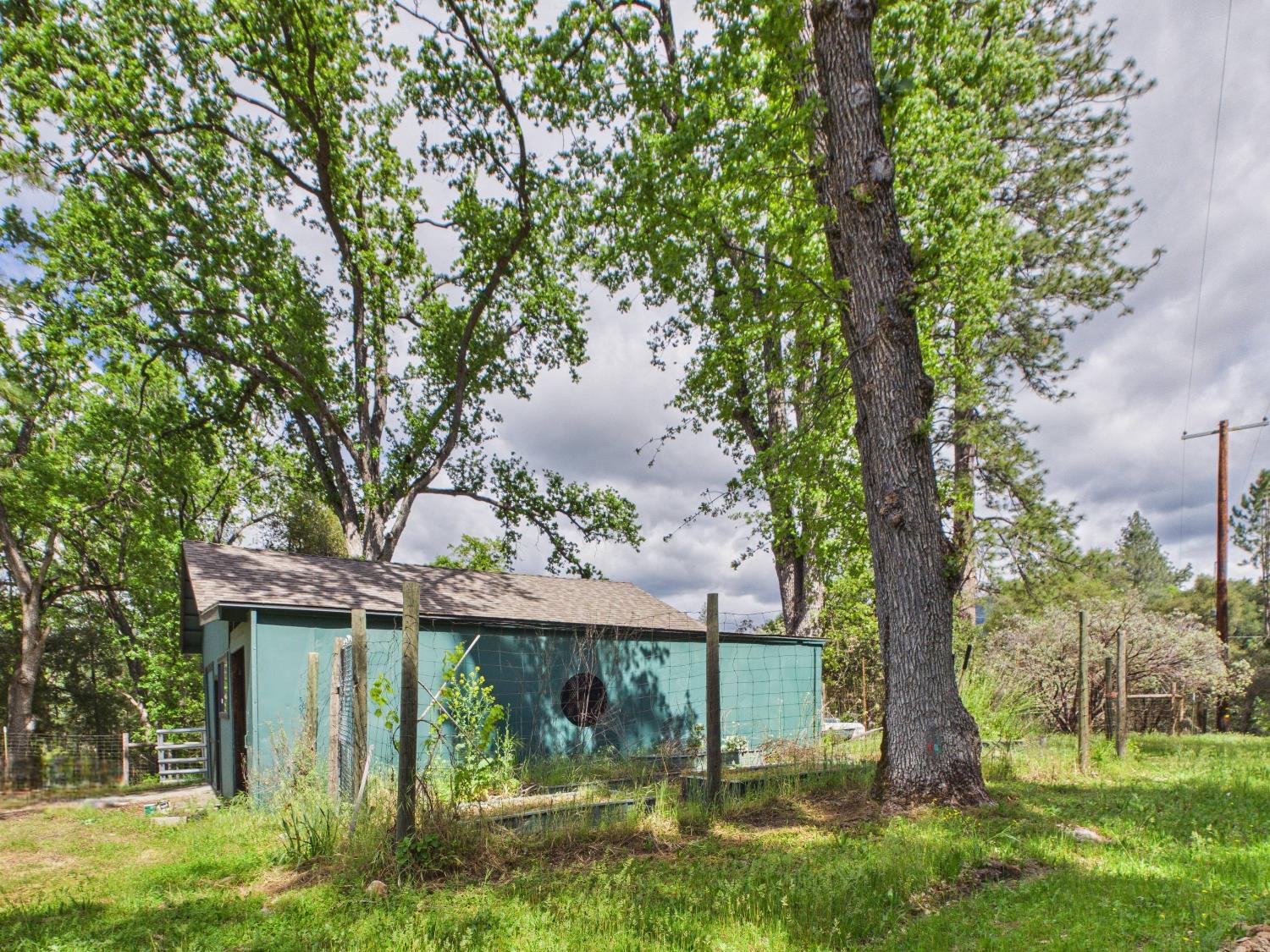 37777 China Creek Road Oakhurst, CA 93644 - Photo 59 of 64