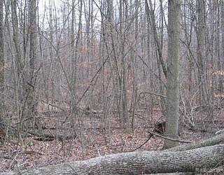 Par A Dutcher Road Gregory, MI 48137 - Photo 1 of 1 Par. A. Dutcher Rd.