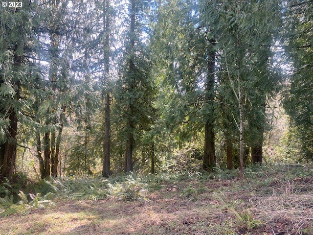 Callahan, Unit 28 Scappoose, OR 97056 - Photo 5 of 9 a view of a forest with trees in the background