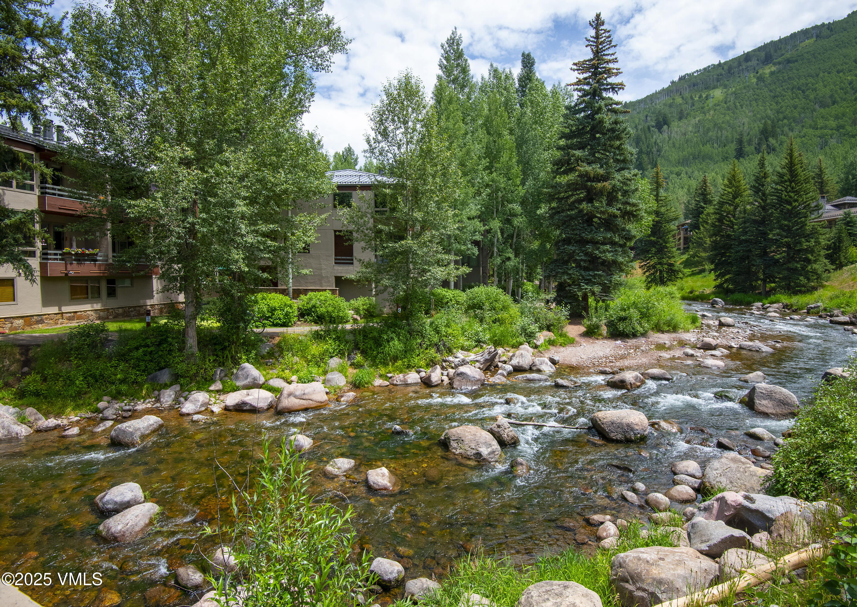 1360 Westhaven Drive, Unit 5A Vail, CO 81657 - Photo 44 of 60 a view of a tree with a park