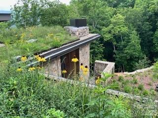 112 Moon Shadow Lane Marshall, NC 28753 - Photo 6 of 48 a backyard of a house with trees