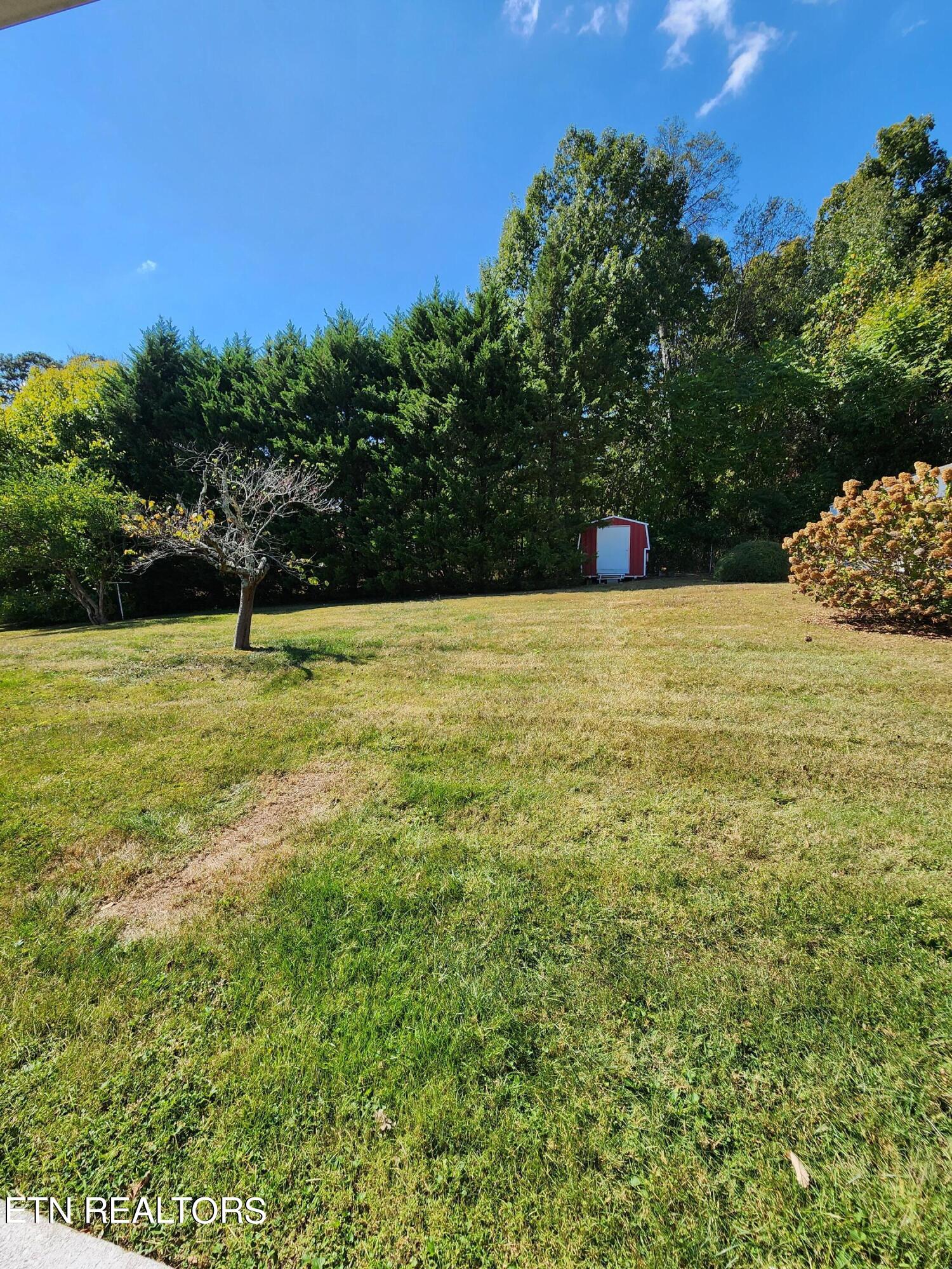 3105 Hazelwood Road, Unit 3 Knoxville, TN 37921 - Photo 8 of 8 20231012_134653