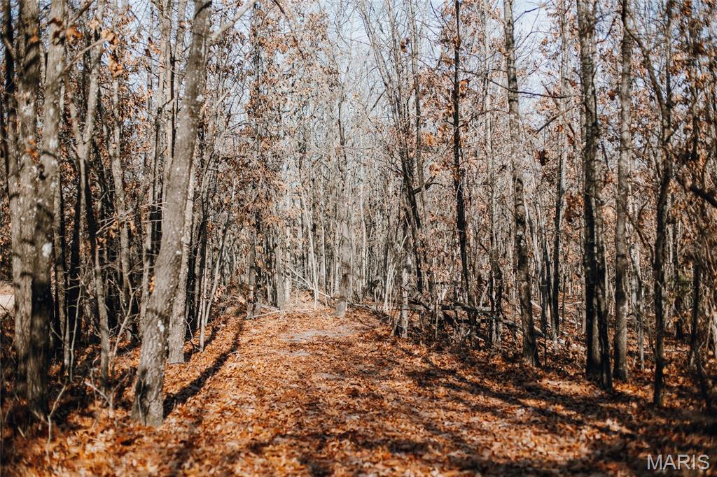 0 Medley Lane Eldridge, MO 65463 - Photo 28 of 79