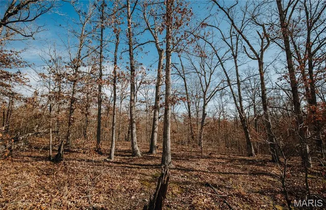 $540,400 | 0 Medley Lane, Eldridge, MO 65463