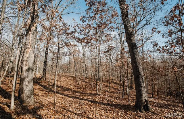 $540,400 | 0 Medley Lane, Eldridge, MO 65463