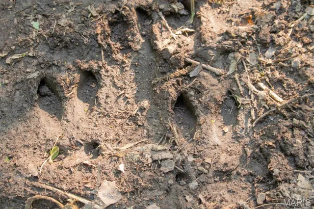 $540,400 | 0 Medley Lane, Eldridge, MO 65463