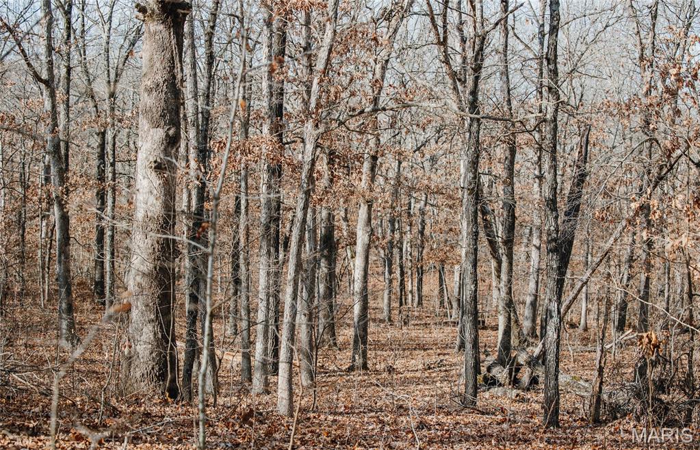 0 Medley Lane Eldridge, MO 65463 - Photo 38 of 79