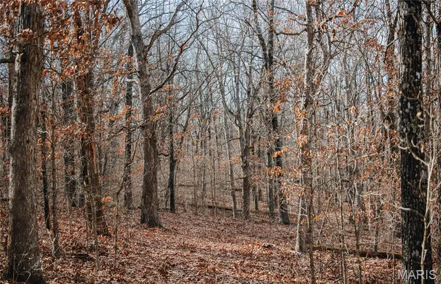 $540,400 | 0 Medley Lane, Eldridge, MO 65463