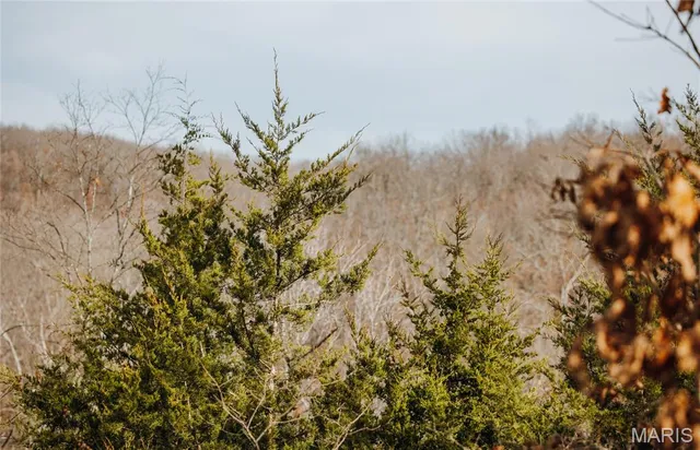 $540,400 | 0 Medley Lane, Eldridge, MO 65463