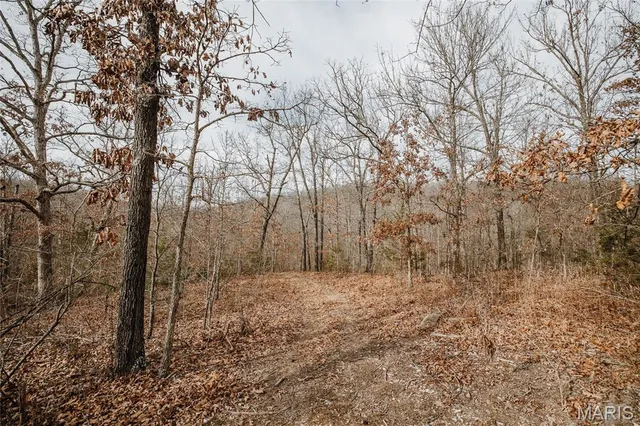 $540,400 | 0 Medley Lane, Eldridge, MO 65463