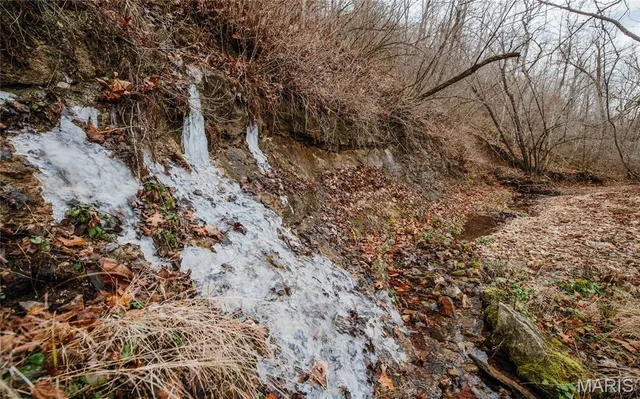 $540,400 | 0 Medley Lane, Eldridge, MO 65463