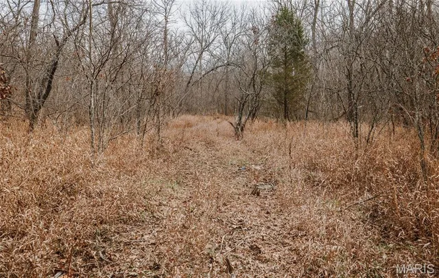 $540,400 | 0 Medley Lane, Eldridge, MO 65463