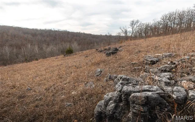 $540,400 | 0 Medley Lane, Eldridge, MO 65463