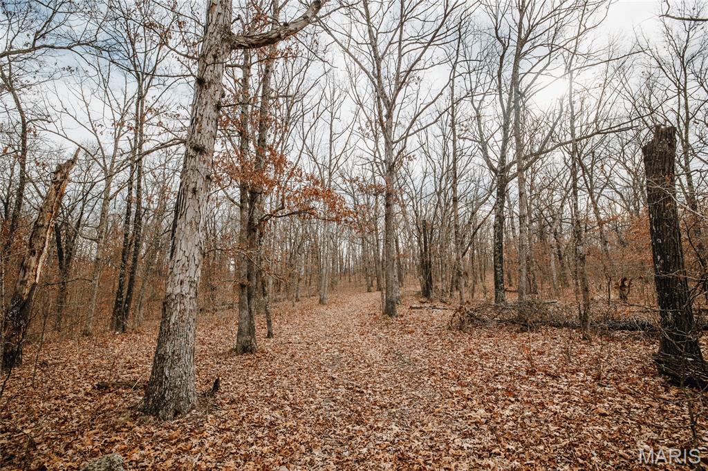 0 Medley Lane Eldridge, MO 65463 - Photo 67 of 79