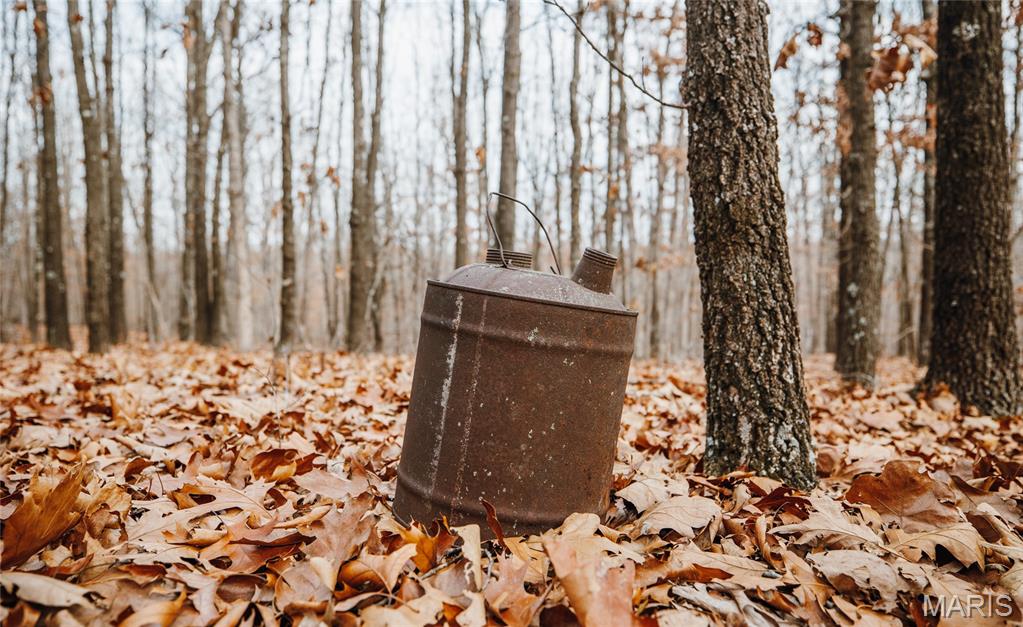 0 Medley Lane Eldridge, MO 65463 - Photo 73 of 79