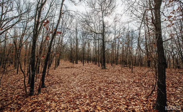 $540,400 | 0 Medley Lane, Eldridge, MO 65463