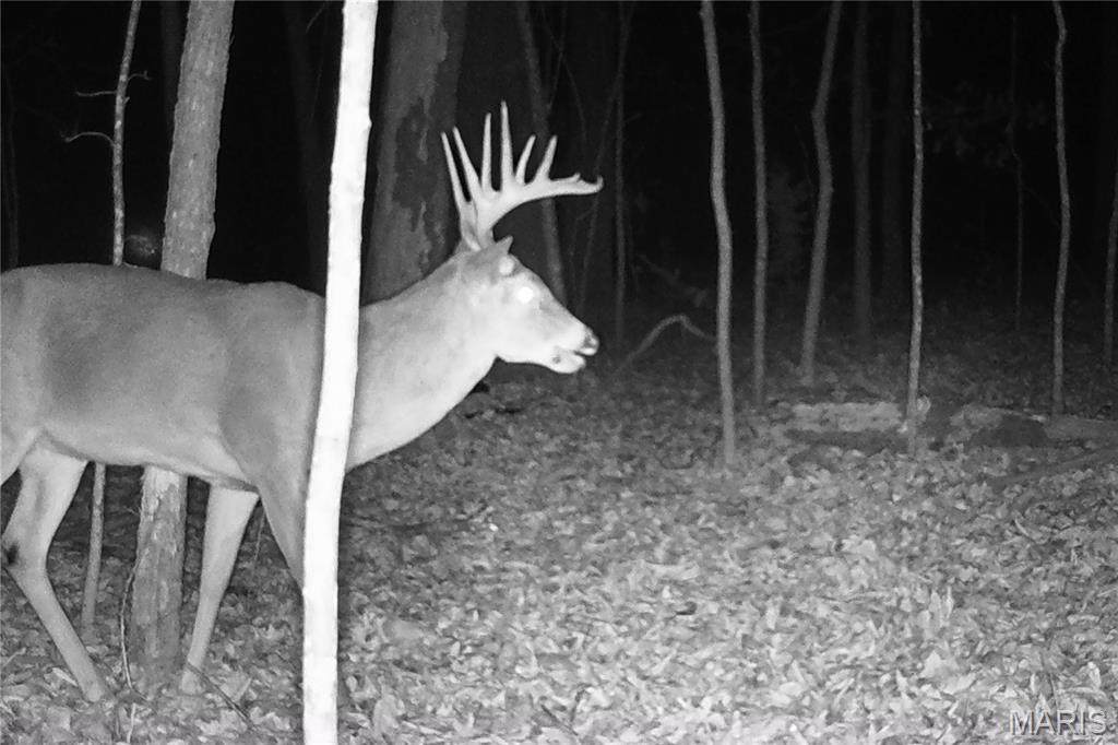 0 Medley Lane Eldridge, MO 65463 - Photo 75 of 79