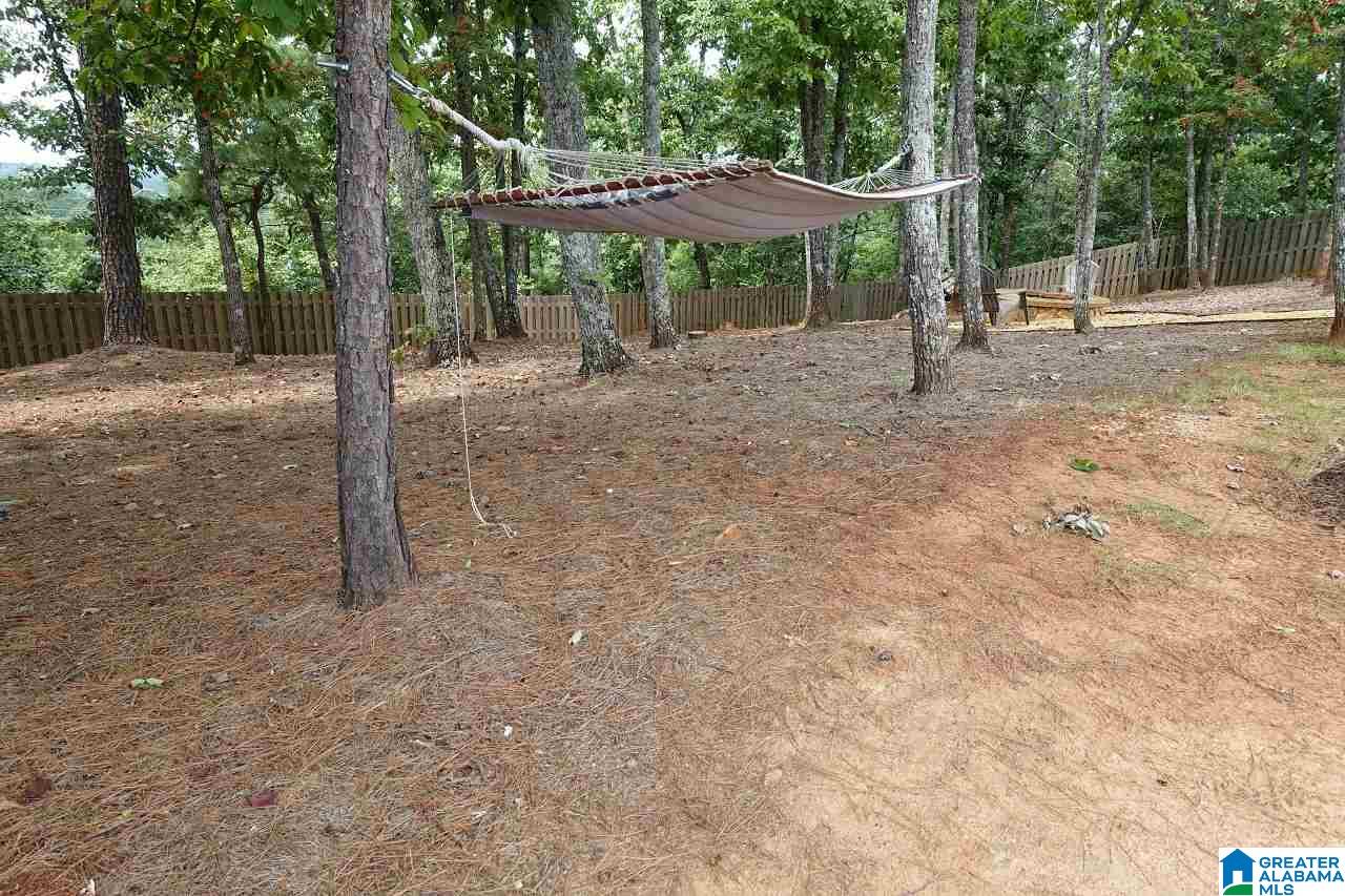 1523 Scout Ridge Drive Birmingham, AL 35244 - Photo 43 of 48