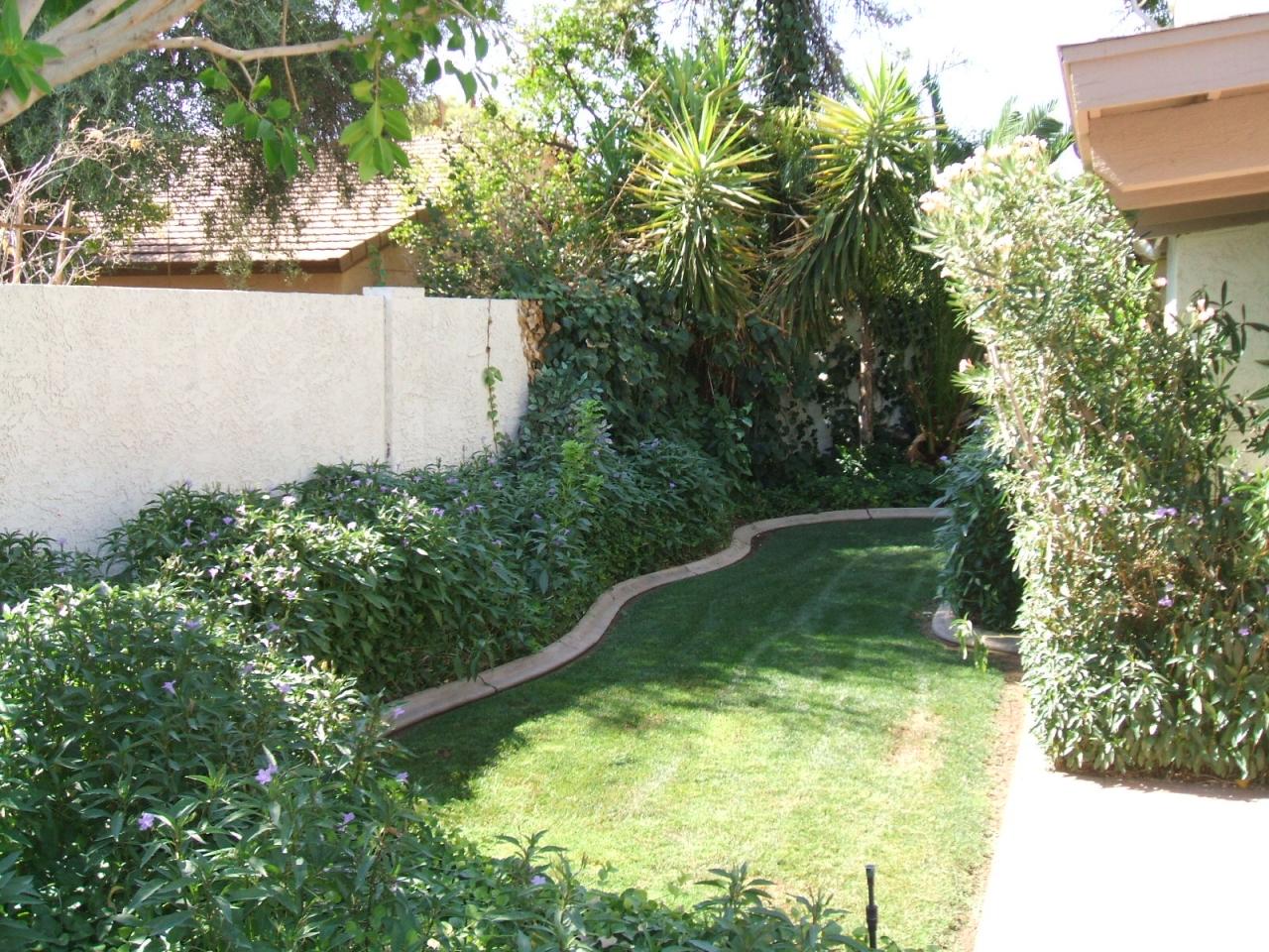 5627 South Outrigger Road Tempe, AZ 85283 - Photo 8 of 9 Backyard