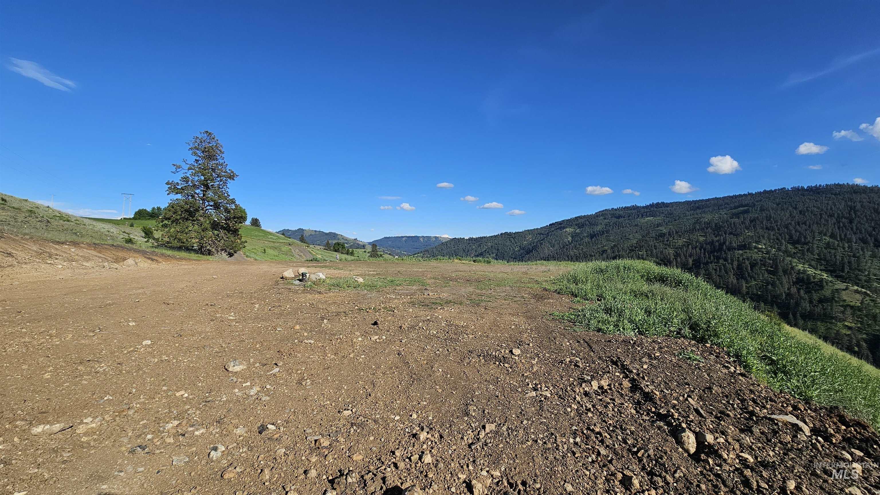 Tbd Lot 5 Tbd Lane Lenore, ID 83541 - Photo 11 of 31