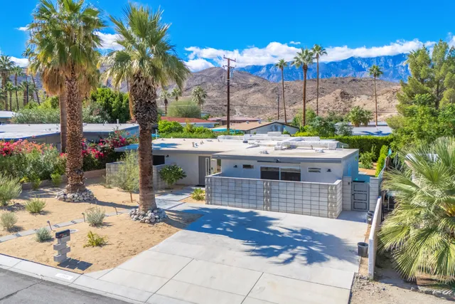 a view of backyard with a palm tree