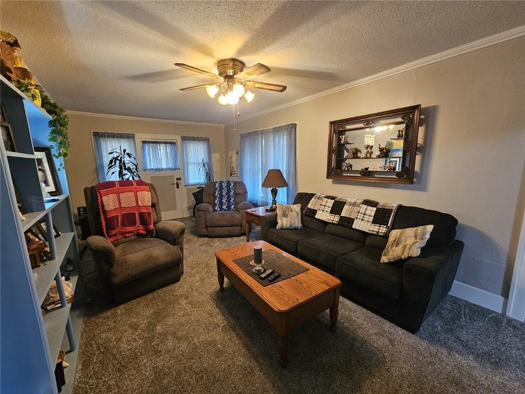 703 Main Street Polo, MO 64671 - Photo 11 of 30