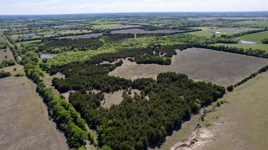 5020 County Road 5020 Road, Unit OF Blue Ridge, TX 75424 - Photo 10 of 17