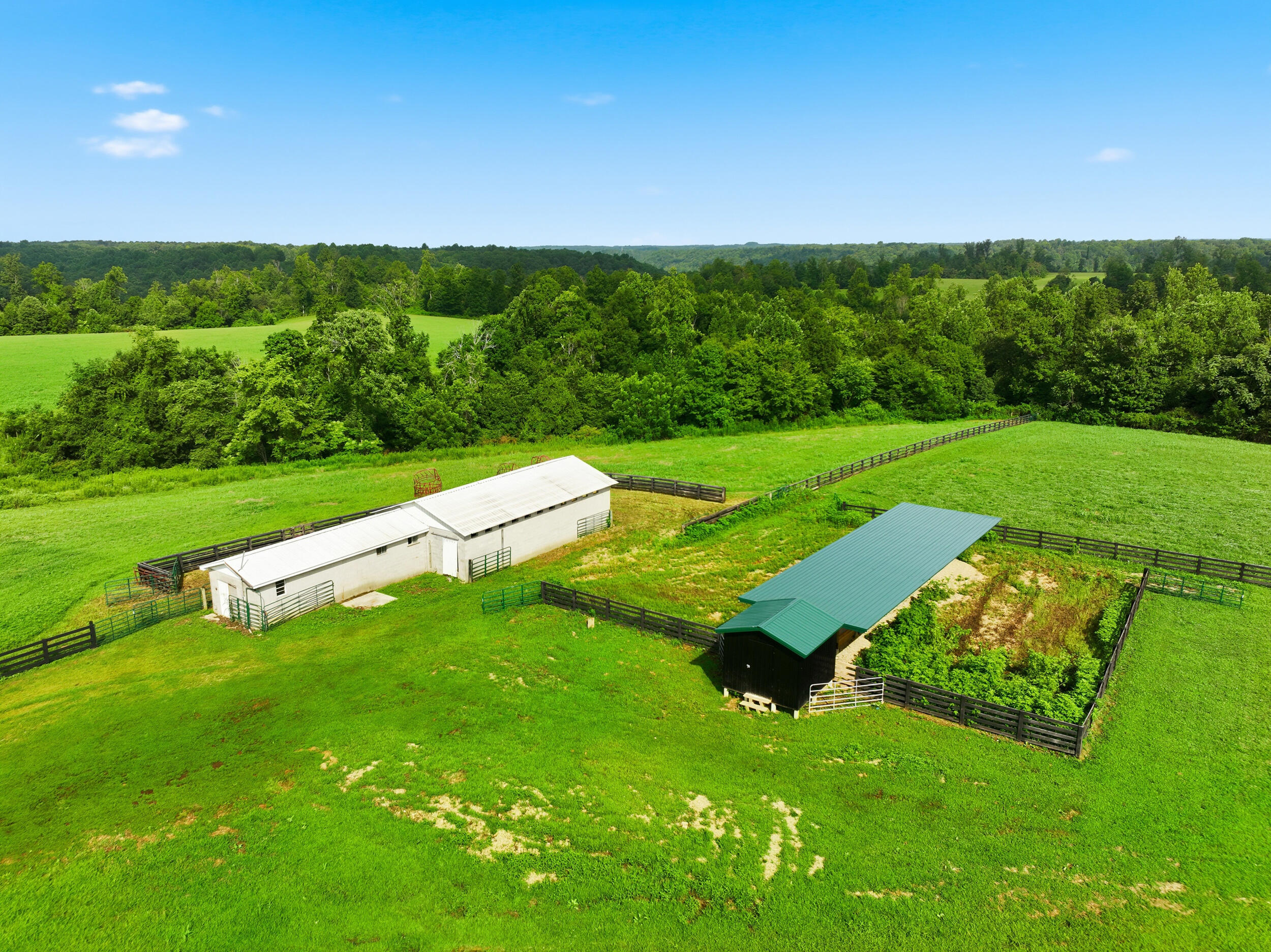 1219 Blevins Road Liberty, KY 42539 - Photo 12 of 37 dji_0315