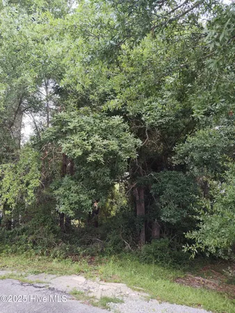 $75,000 | 106 Taylor Lane, Hubert, NC 28539