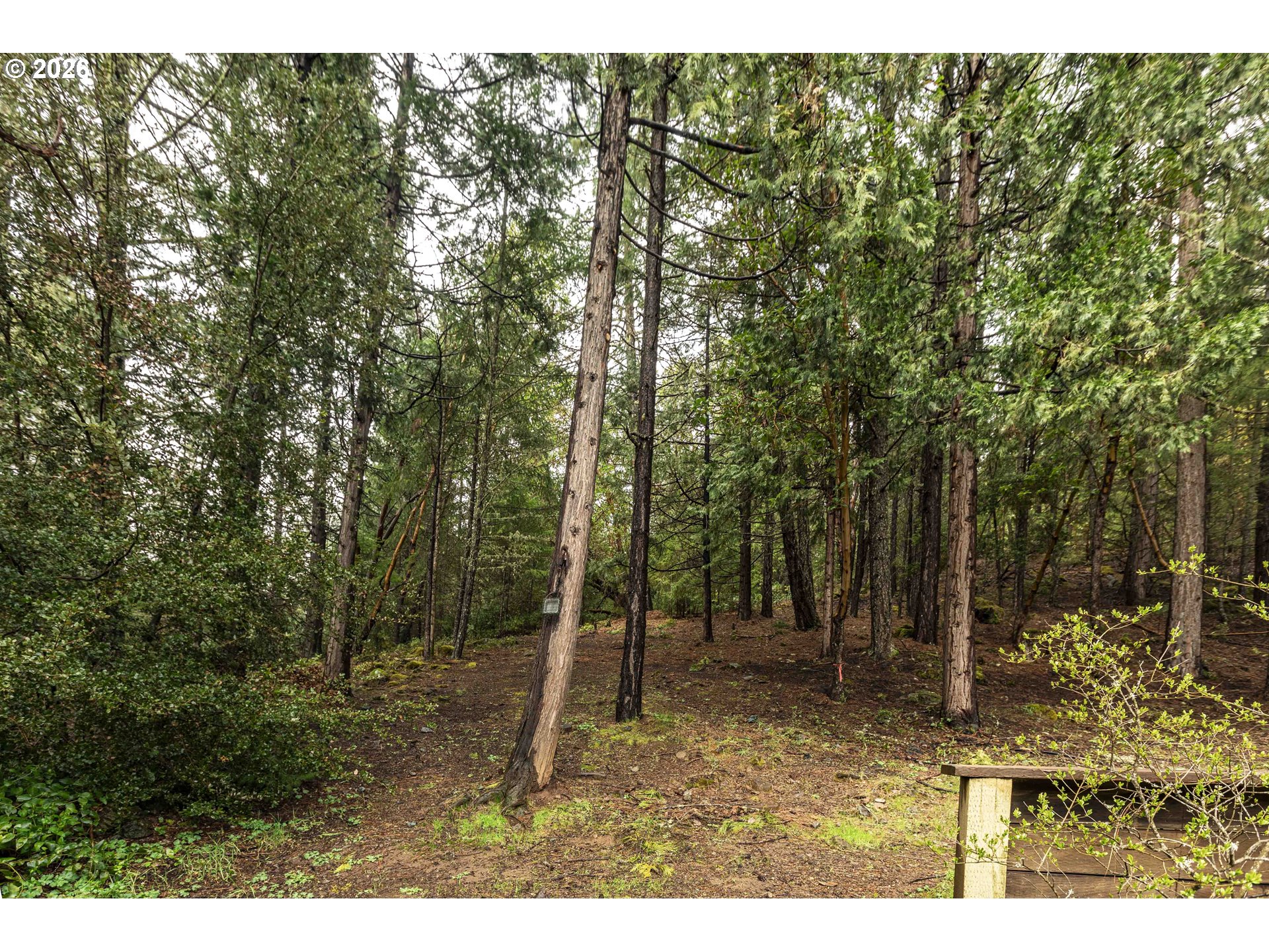 3866 Placer Road Wolf Creek, OR 97497 - Photo 25 of 42